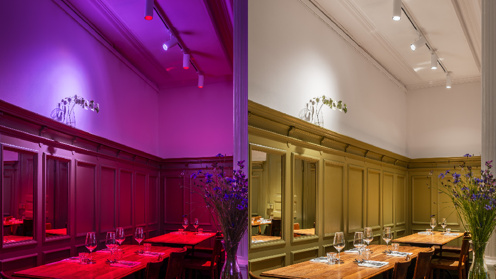 2CCT 3POWER Switchable Track Light: Enhance Bakery & Meat Displays